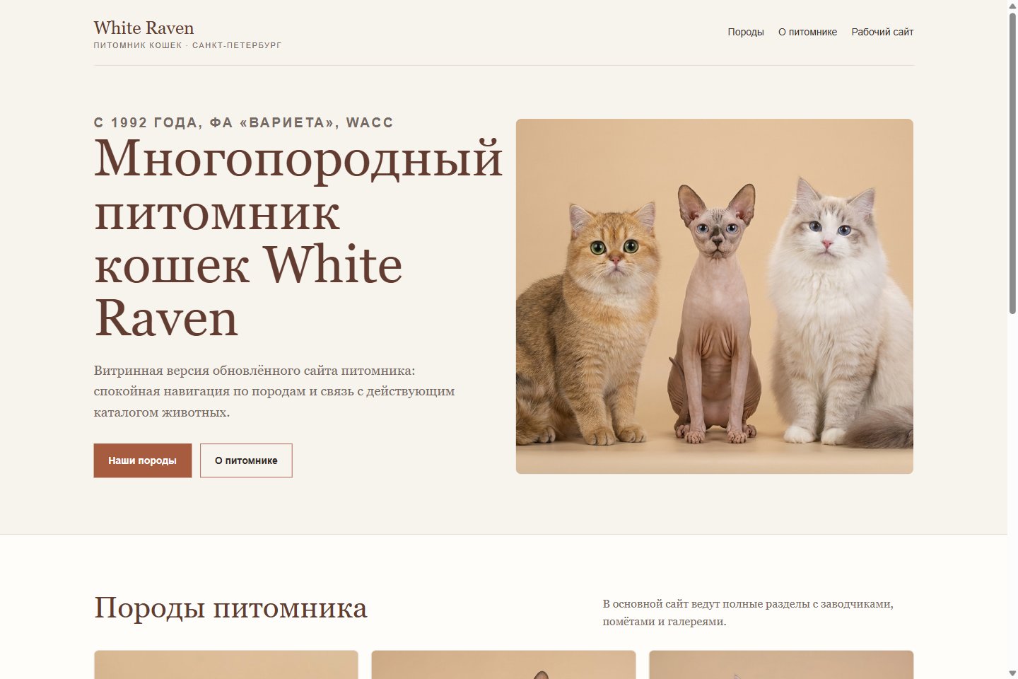 Превью сайта «White Raven»